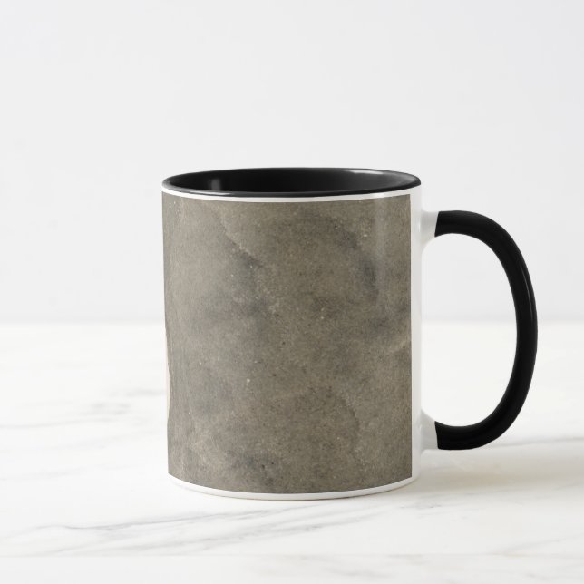 Caneca Dólar de areia (Echinarachnius parma) (Direita)