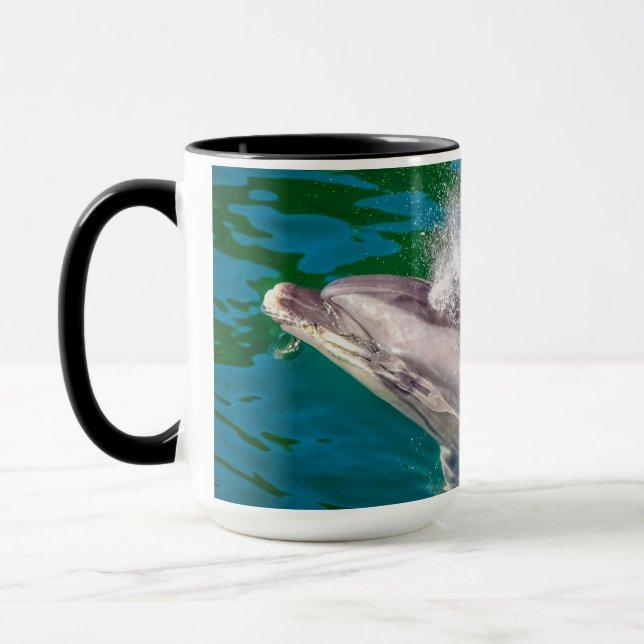 Caneca Dolphin In Milford Sound, Nova Zelândia (Esquerda)