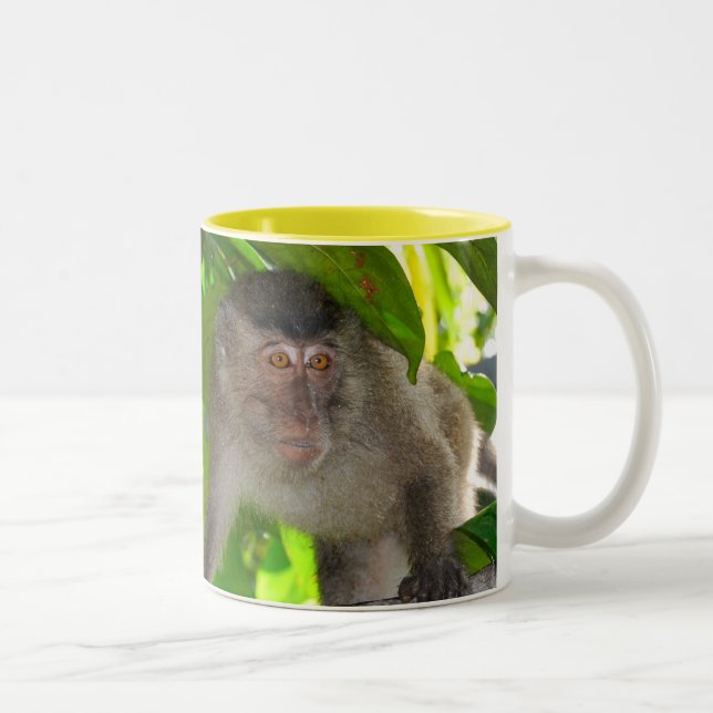 Caneca dos macacos de Macaque (Direita)