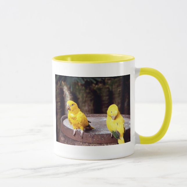 caneca dos parakeets (Direita)