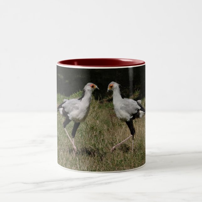 Caneca dos pássaros de secretário da dança (Centro)