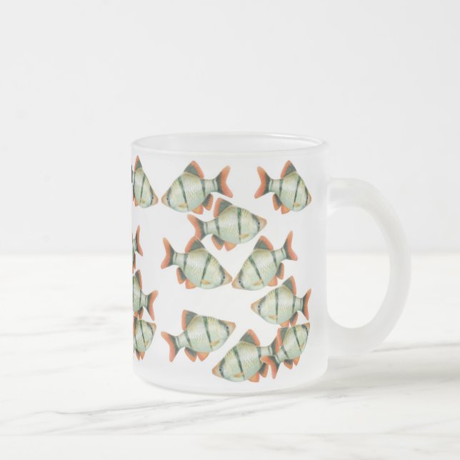 Caneca dos peixes do aquário das farpas do tigre (Direita)