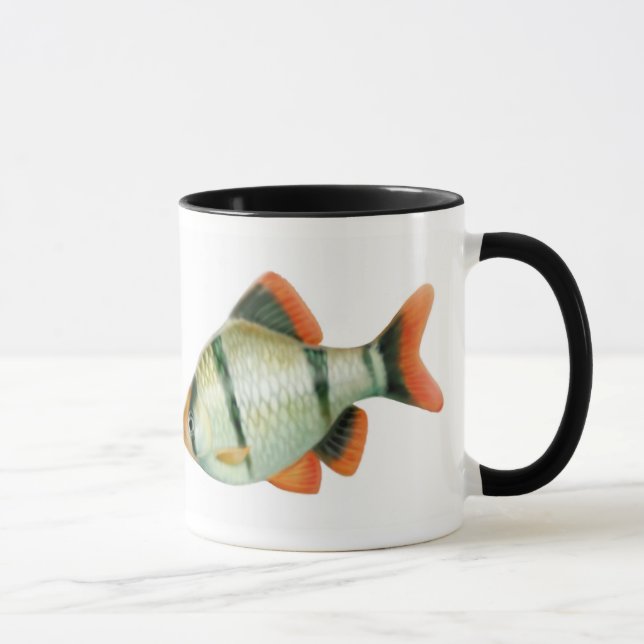 Caneca dos peixes do aquário de Barb do tigre (Direita)
