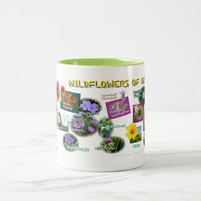 caneca dos Wildflowers de hv19 Oklahoma (Centro)