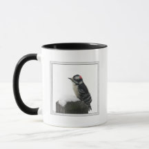 Downy Woodpecker Mug