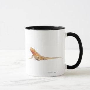 Caneca Dragão farpado scaleless de SilkBacks - Pogona