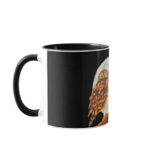 Duas Corujas Noturnas Luar em um Ramal