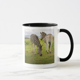 Caneca Duas zebras, África do Sul