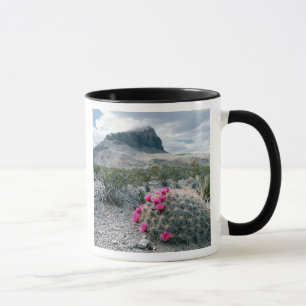 Caneca E.U.A., Texas, Parque Nacional Big Bend. Em flor