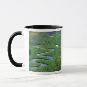 Caneca East River perto da cidade de Crested Butte.
