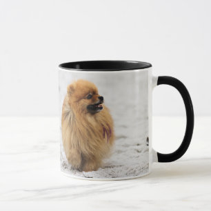 Caneca Edgrrrr #3 - Pomeranian