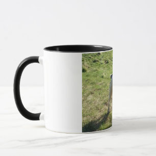 Caneca editável com foto e texto
