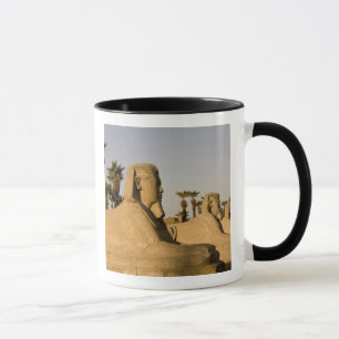 Caneca Egito, Luxor. A Avenida de Esfinges leva a