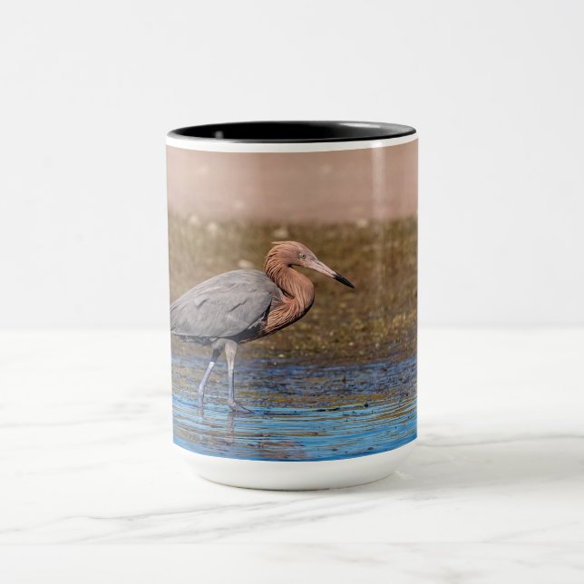 Caneca Egret Reddish em North Beach (Centro)