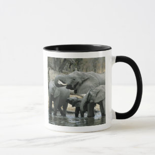 Caneca Elefante africano, (africana do Loxodonta),