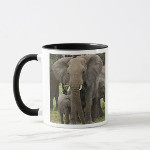 Caneca Elefante Africano   Manada