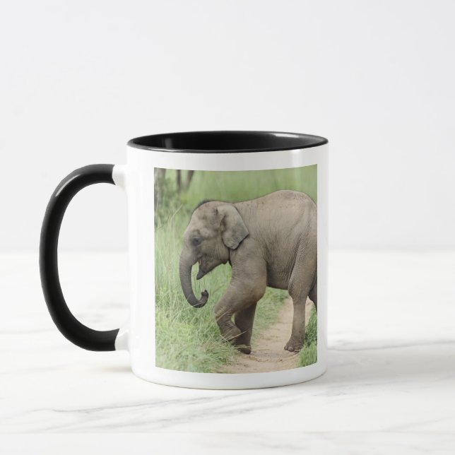 Caneca Elefante bebê seguindo a mãe, Corbett (Esquerda)