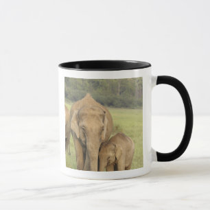 Caneca Elefante indiano / asiático e filhote, Corbett