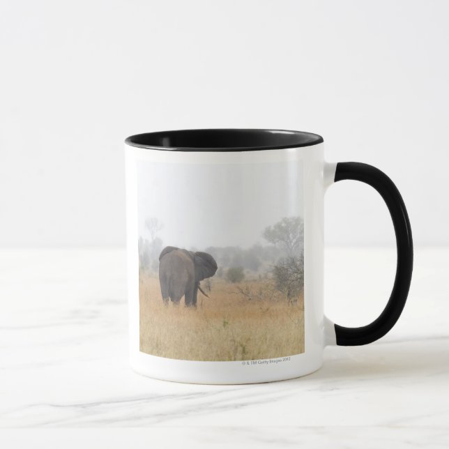 Caneca Elefante na névoa do amanhecer, nacional de Kruger (Direita)