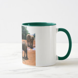 CANECA ELEFANTE QUE ESTÁ SENDO ALIMENTADO DENTRO KENYA