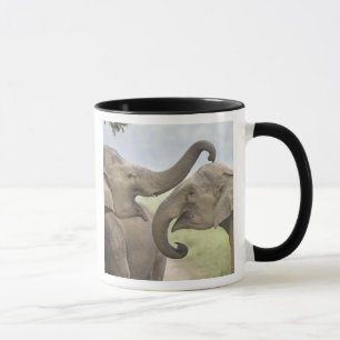 Caneca Elefantes asiáticos indianos jogam lutando