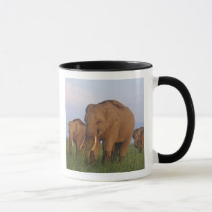Caneca Elefantes Indianos na Grassland