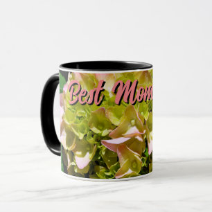 Caneca Elegante cor-de-rosa-amarelo-rosa Hydrangea flores