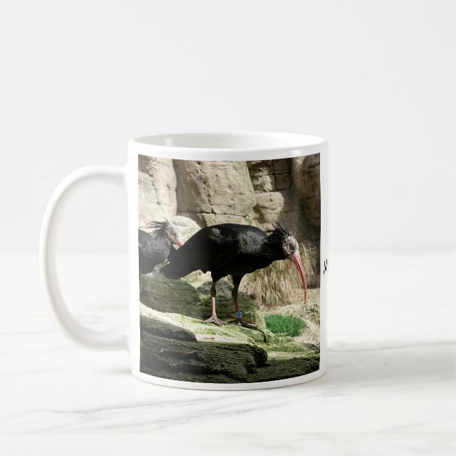 Caneca emplumada preto do pássaro dos íbis de (Esquerda)