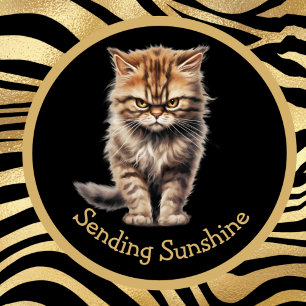 Caneca Enviando Sunshine Ou Seu Texto Engraçado Tabby Cat