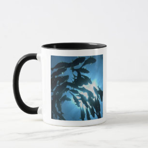 Caneca Equador, arquipélago de Galápagos, ilha do lobo,