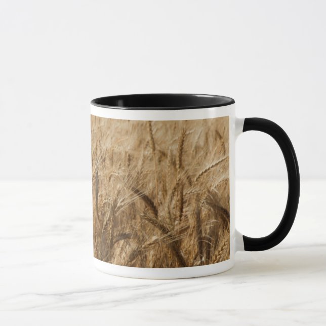 Caneca Erick, Oklahoma Rota 66 (Direita)