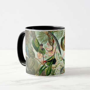 Caneca Ernst Haeckel Art Impressão: Trochilidae