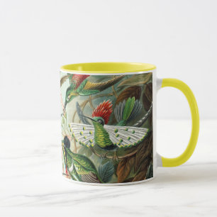 Caneca Ernst Haeckel Hummingbird - Formas de Arte da Natu