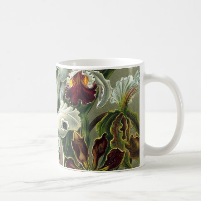 Caneca Ernst Haeckel Orquídeas, Flores da Floresta Tropic (Direita)