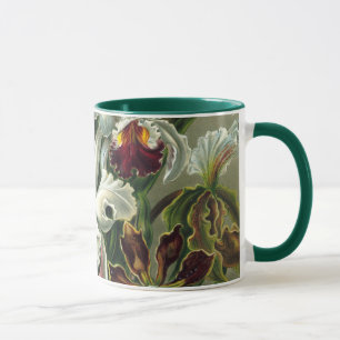 Caneca Ernst Haeckel Orquídeas, Flores Vintage da Florest