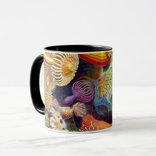 Caneca Ernst Haeckel Sea Anemones Marine:Actiniae (Frente Esquerda)