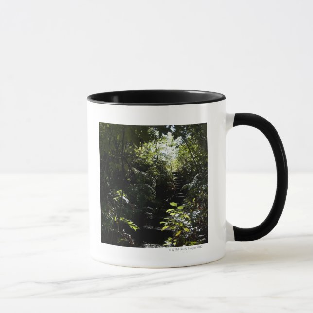 Caneca Escadaria/passeio rústicos na floresta, luz solar (Direita)