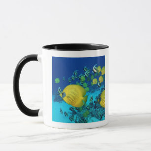 Caneca Escola da natação dos peixes da borboleta no fun