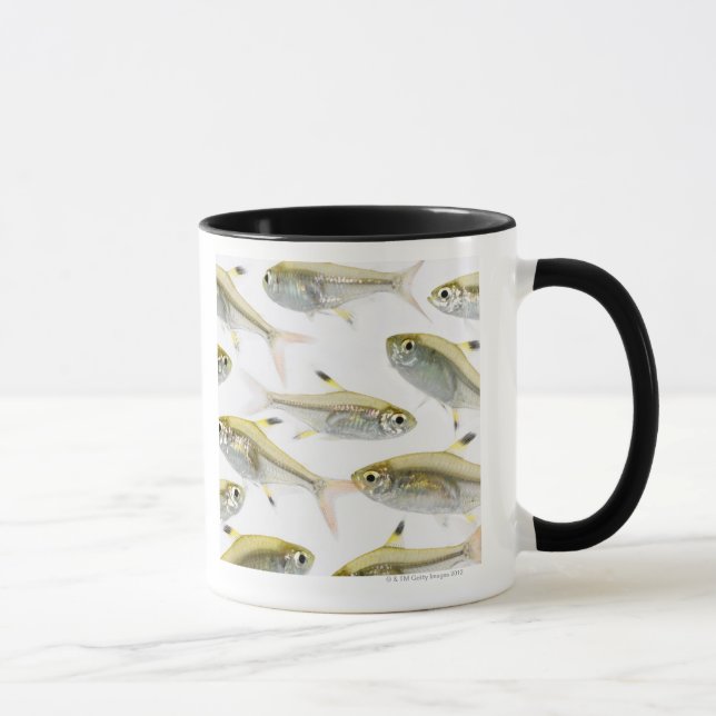 Caneca Escola de peixes tetra do raio X (Pristella (Direita)