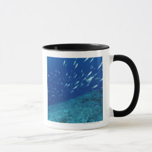 Caneca Escola dos peixes 6