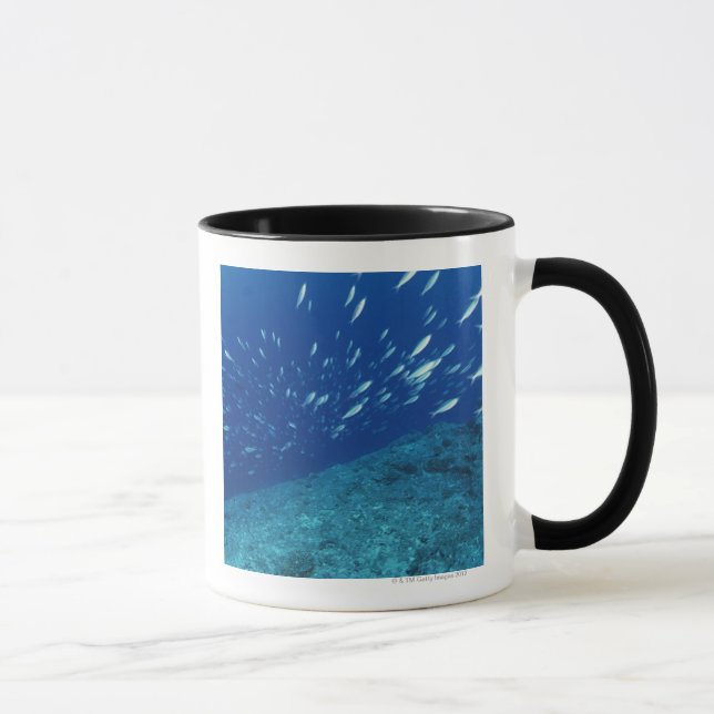 Caneca Escola dos peixes 6 (Direita)