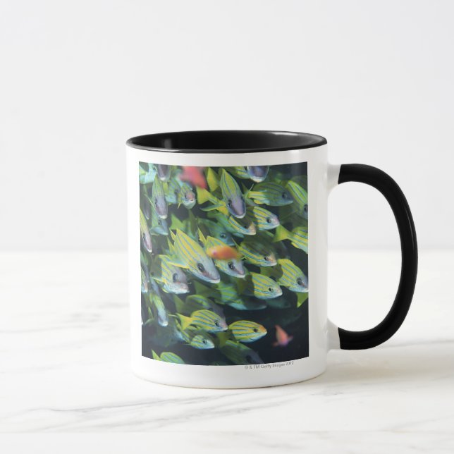 Caneca Escola dos peixes 7 (Direita)