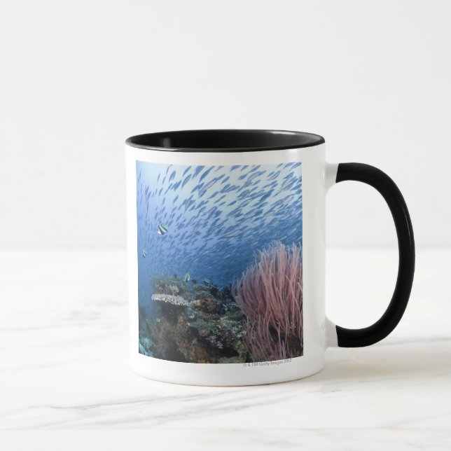 Caneca Escola dos peixes acima do recife (Direita)
