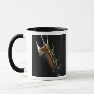 Caneca Escudo do Conch