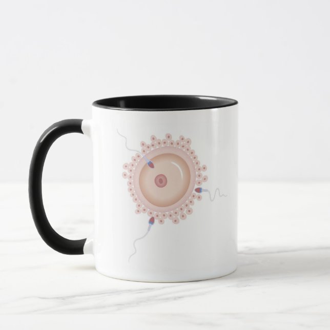 Caneca Esperma que contem o gene transformado (Esquerda)
