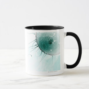 Caneca Esperma que fertiliza um óvulo