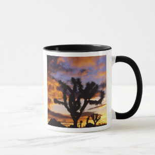 Caneca Espetacular amanhecer no Parque Nacional de Joshua