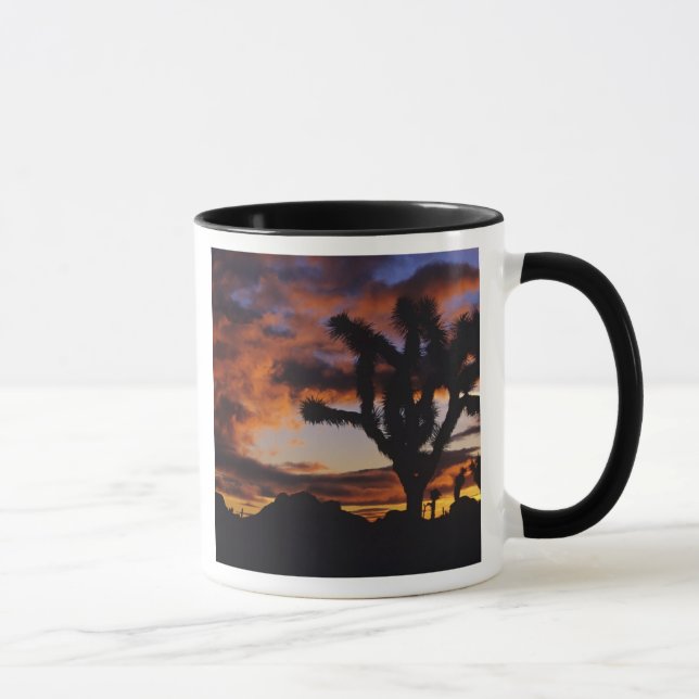 Caneca Espetacular nascer do Sol no Nacional Joshua Tree (Direita)