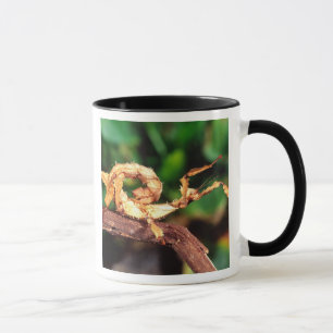 Caneca Espírito de Macleay (Inseto-Pau Espinhoso),