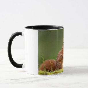 Caneca esquilo comendo noz